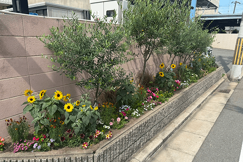 会社前の花壇