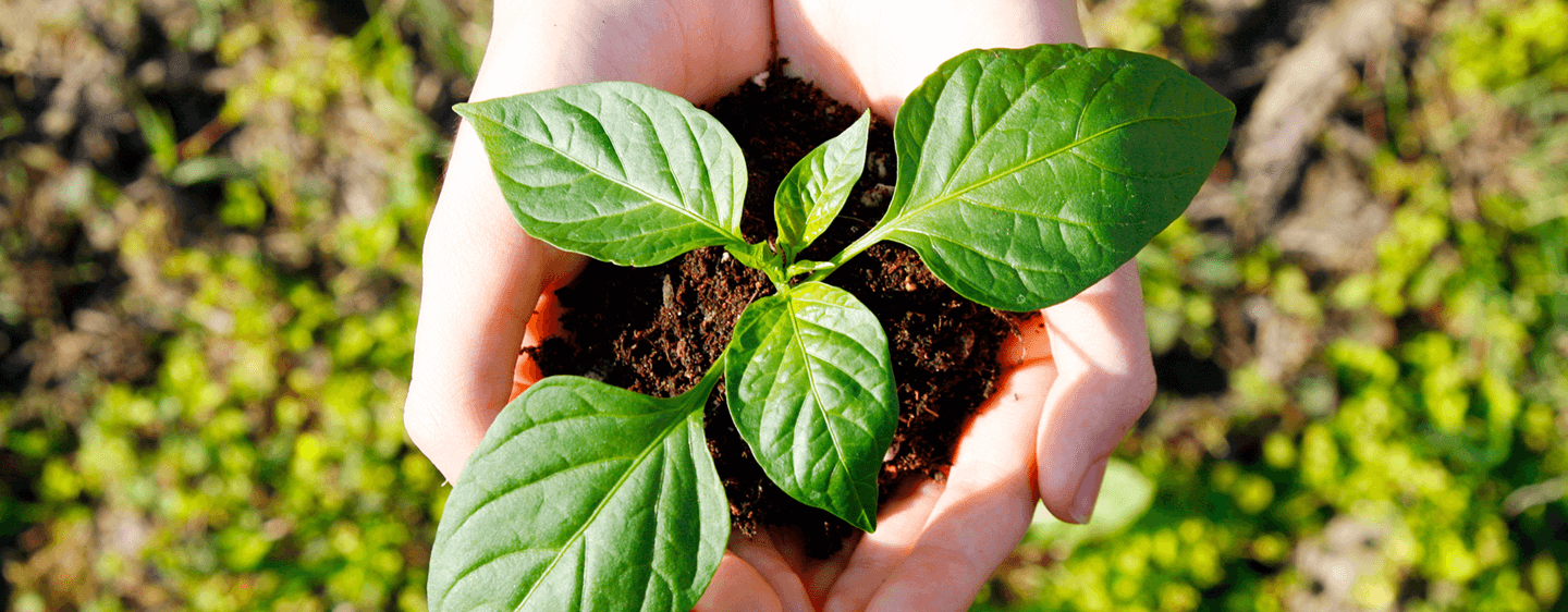 サスティナブルなイメージ画像